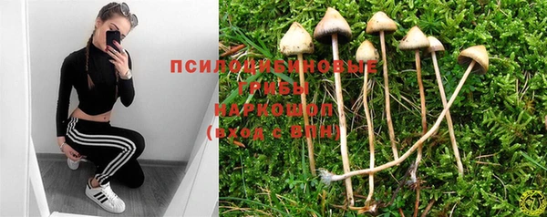 молекула духа Белоозёрский