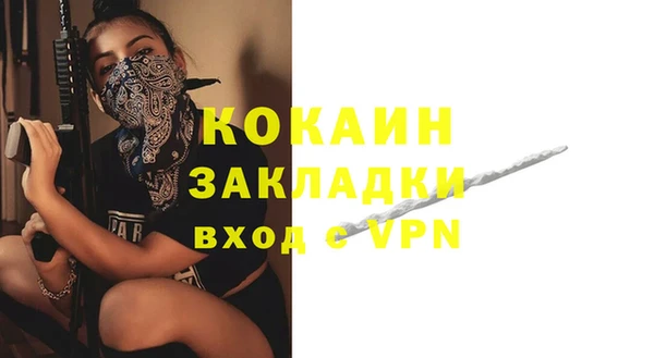 крисы Белокуриха