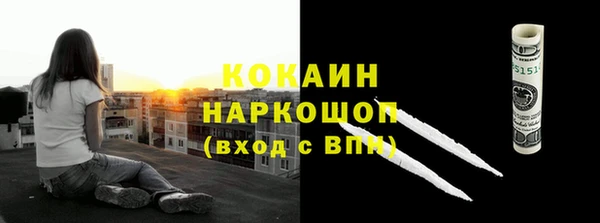 крисы Белокуриха