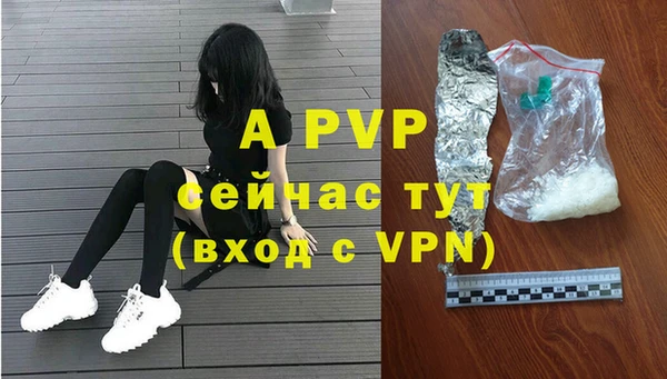 молекула духа Белоозёрский