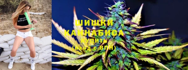 молекула духа Белоозёрский