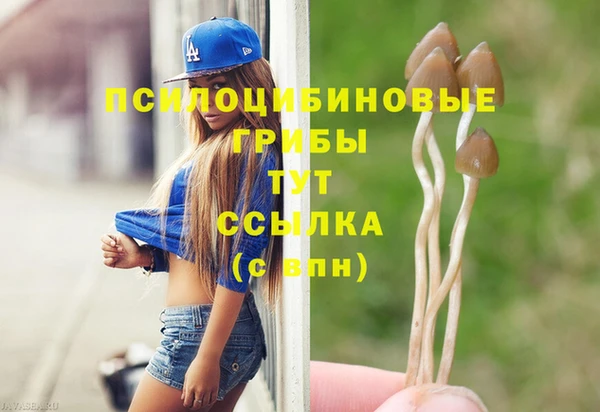 молекула духа Белоозёрский