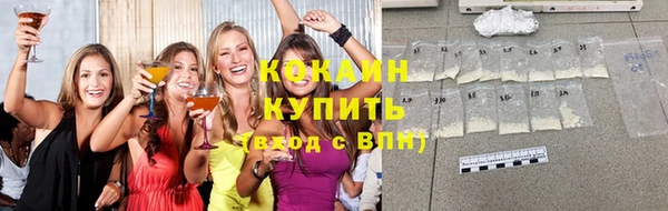крисы Белокуриха