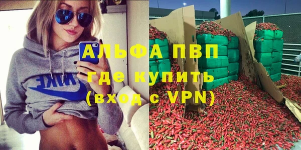 молекула духа Белоозёрский